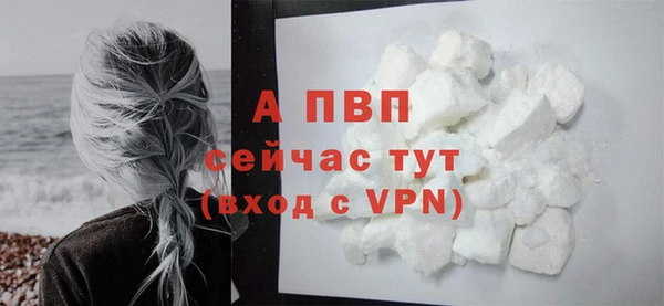 амф Надым