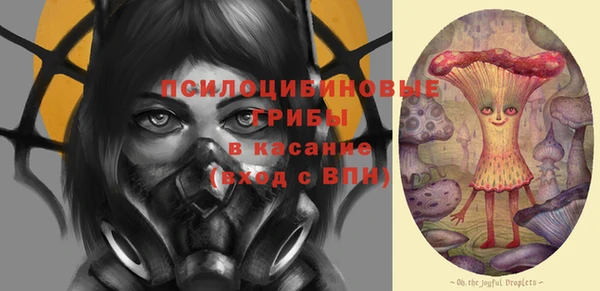 амф Надым