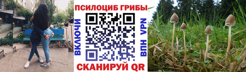 Псилоцибиновые грибы Cubensis  omg как зайти  Шумерля 
