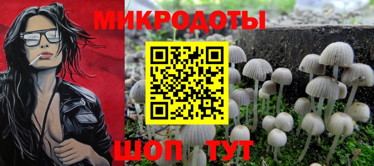 Шумерля  Галлюциногенные грибы прущие грибы  Вход с VPN 