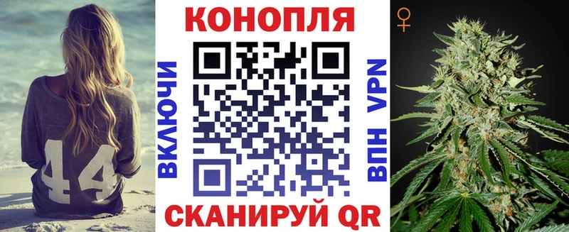 купить  сайты  Шумерля  Канабис планчик 