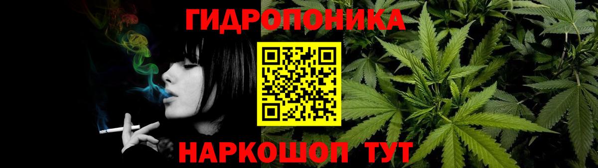 Конопля марихуана  Канабис планчик  Вход с VPN  Канабис Ganja  Марихуана план  Шумерля 